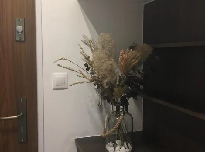 Apartament Home Apartment *